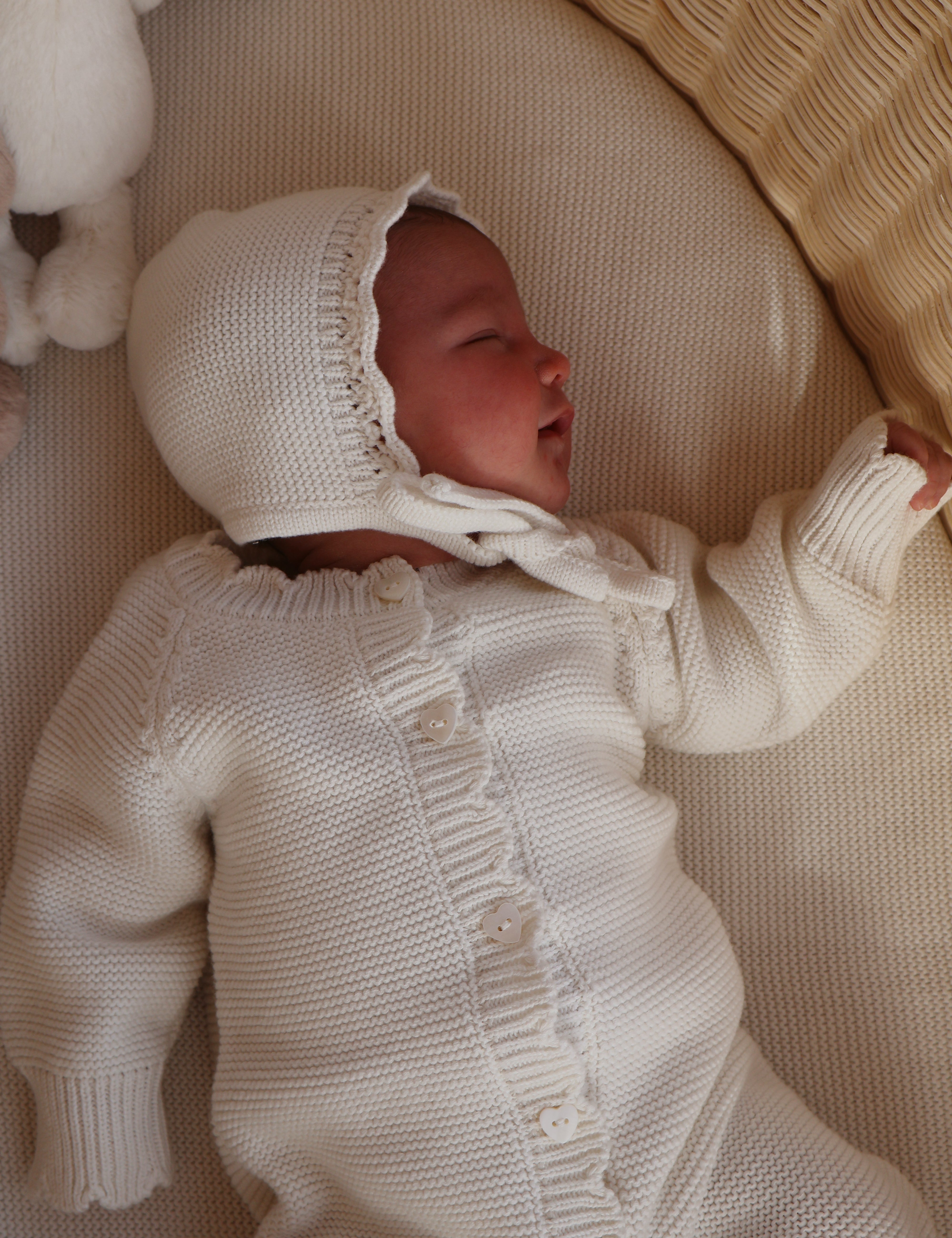 146329F1-DADB-48A0-81F7-EE354071D784.jpg