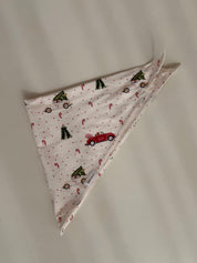Gingy Pet Bandana