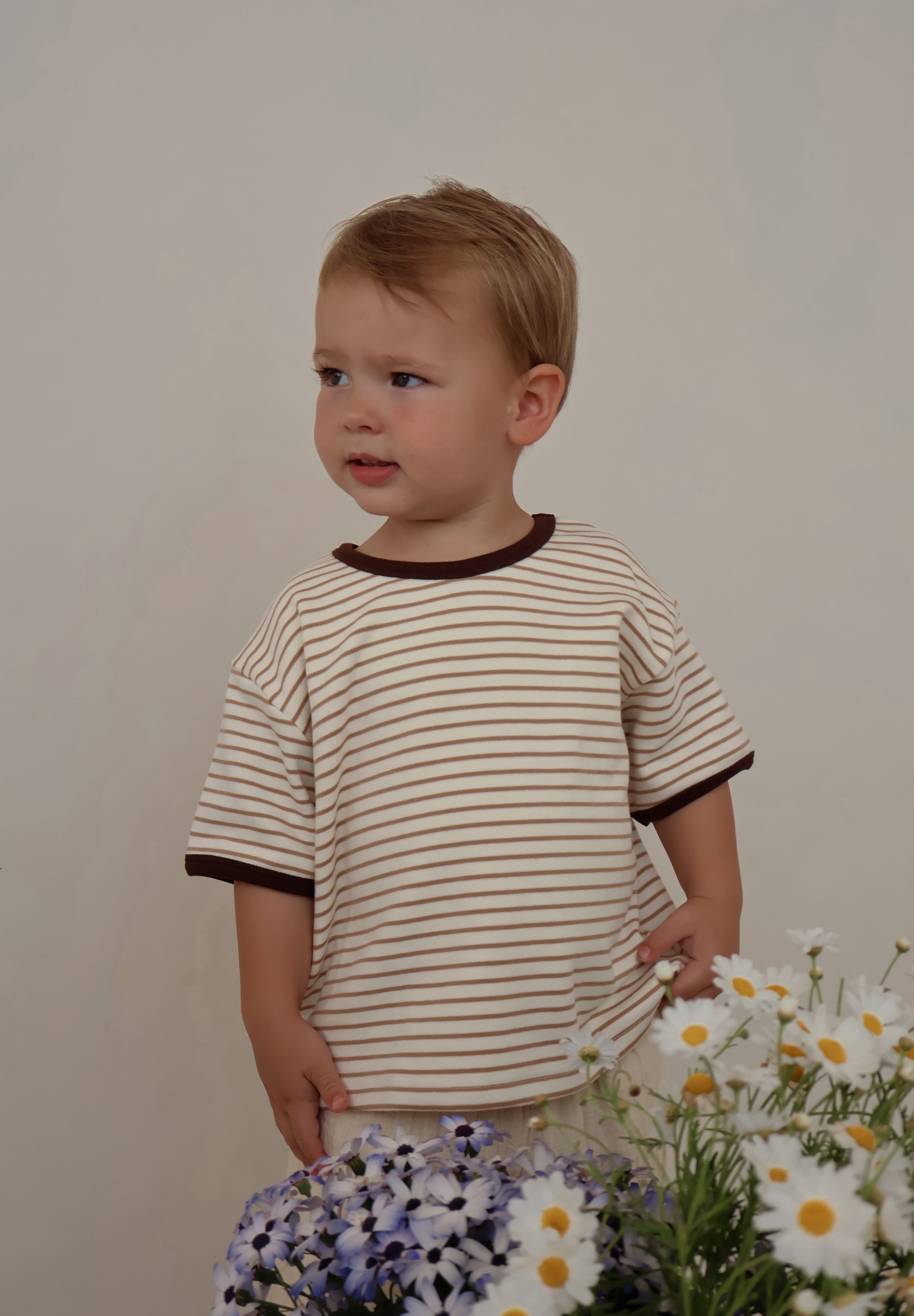 Brown Stripe T-Shirt