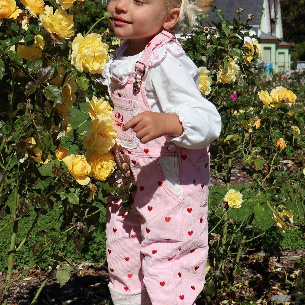 BE510F76-9839-4D1D-B201-52E8E779CA4D.jpg