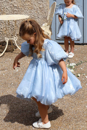 Powder Blue Puff Dress