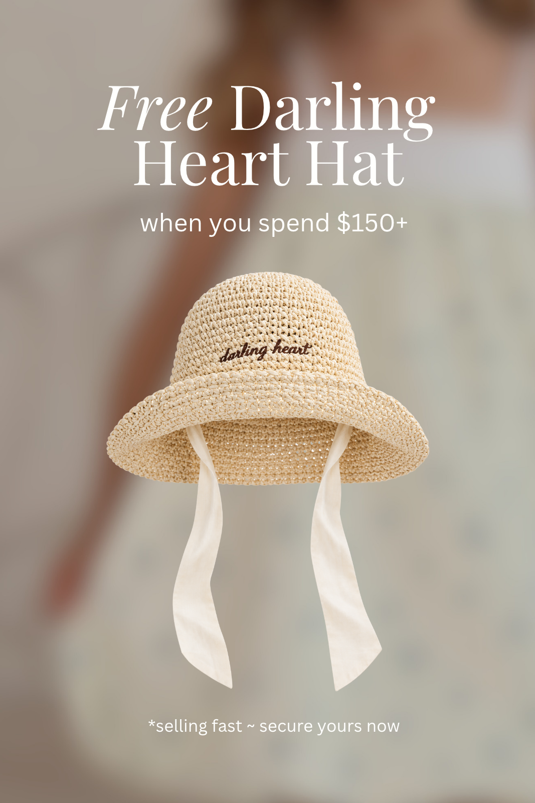 NEW_LOLLY_MAY_WEBSITE_IMAGE_SIZING.png